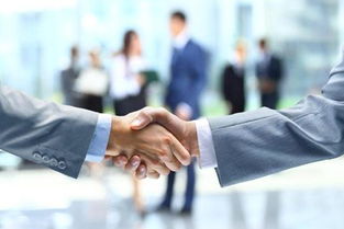 燕郊企業(yè)服務(wù)指南 衛(wèi)生許可證與知識(shí)產(chǎn)權(quán)服務(wù)詳解